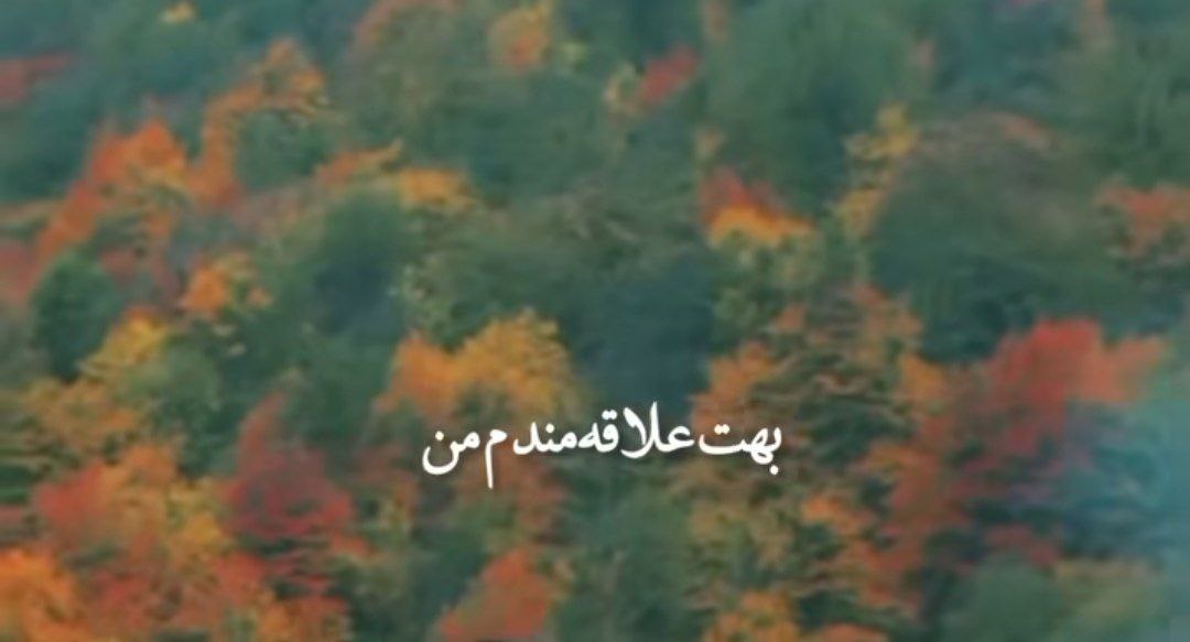 بهت علاقه مندم من از همه سر تو کندم من